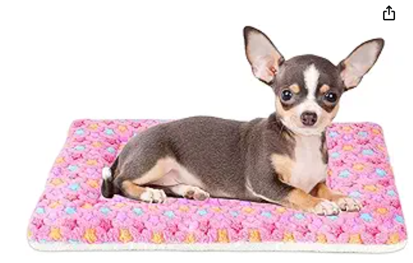 Screenshot 2025-08-20 190149